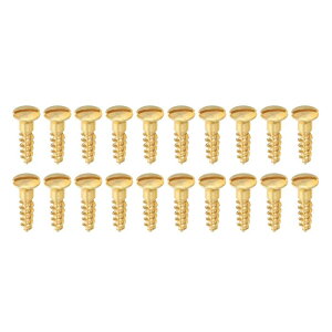 PATIKIL M5 x 20mm �X���b�g�؂˂� 20���� �\���b�h�^�J �I�[�o���w�b�h �t���b�g�w�b�h �Z���t�^�b�s���O �ؐ��Ƌ�ڑ��p ���F