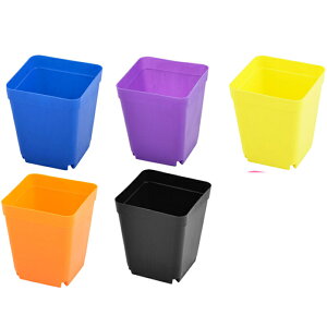  t[x[X Ԋ Aؔ oRj[ vX`bN ԐA A q͔|  z_[ 10