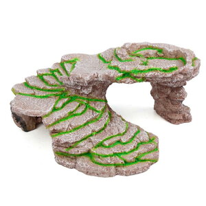 �������^�[�g�������v ���������v �v���b�g�t�H�[�� �f�R�[�� ���C�g�C�G���[