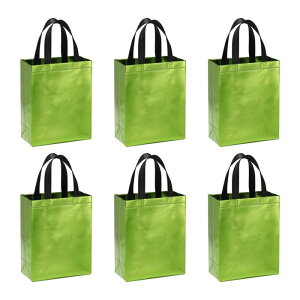 PATIKIL [[R[eBOt̃CgO [MtgobOAAap[eB[AVbsOARXeBbNpɎg6̍ėp\ȃObfBobOA20cm x 10cm x 2