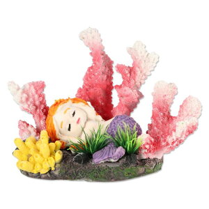 CAPASTEC ق̃TSʃfR[VAlHTSʃfR[VATSI[igAx^̐ANZT[A5.91"x3.54"x3.74"AsN