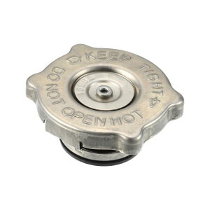 ACROPIX GWptWG^[t I[o[t[U[o[^NLbv WG^[Lbv ChryslerɑΉ 300 2008ɑΉ No.5511 6901AA 1