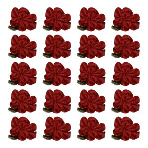 PATIKIL 2.5 cm {t[Y{E Ntgp 20 ~jTe[Yt[Y ȃt@ ubNt[wbY DIY \[COAbvP Mtg EFfBO Nbg