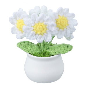 PATIKIL NVF 1 ҂ݕNVFԘZ ԕ fCW[AԒaԃMtgz[fR[V CG[zCg