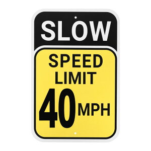 M METERXITY 40 M P HxTC 12" x 8" A~ό󐫖hKтȂʕW ʓHW W 2 \ߌJO/HW