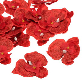 PATIKIL 90 mm 人工的な蘭の花ヘッズ 40個 シルク胡蝶蘭 フェイク胡蝶蘭ヘッズ 結婚式 花 花束 装飾 DIY クラフト作成用 レッド