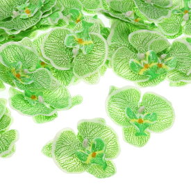 PATIKIL 90 mm 人工的な蘭の花ヘッズ 40個 シルク胡蝶蘭 フェイク胡蝶蘭ヘッズ 結婚式 花 花束 装飾 DIY クラフト作成用 緑