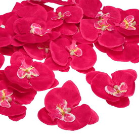 PATIKIL 100 mm 人工的な蘭の花ヘッズ 40個 シルク胡蝶蘭 フェイク胡蝶蘭ヘッズ 結婚式 花 花束 装飾 DIY クラフト作成用 フクシア
