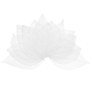 M METERXITY 100pbÑXPg[tAVRS̖؂̊tAW/DIYNtgJ[h/XNbvubN/EFfBOpAȗt̑[4-6cmAzCg]