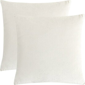 PiccoCasa 2Pcs Velvet Throw Pillow Cover Solid Decorative Sofa Cushion Cover White 16"x16"