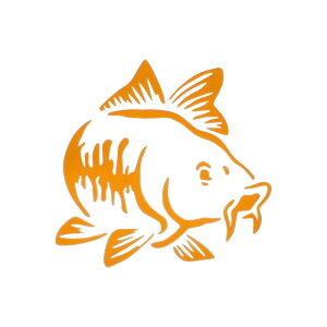 Motoforti tNeBuop[fJ[ CG[ XNGAJ[v tNeBuJ[XebJ[ p[\iCYhfR[V ԑ̂܂̓hA܂͑