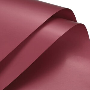 bsOy[p[ 58*58cm n  ԑ u[P bsOp H h `F[bh 20 wj o^C ̓ a