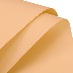 bsOy[p[ 58*58cm n  ԑ u[P bsOp H h N[IW 20 wj o^C ̓ a