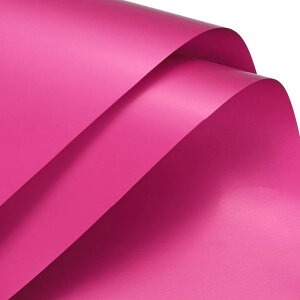 bsOy[p[ 58*58cm n  ԑ u[P bsOp H h fB[vsN 10 wj o^C ̓ a