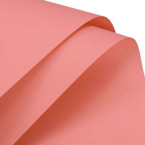 bsOy[p[ 58*58cm n  ԑ u[P bsOp H h [bh 10 wj o^C ̓ a