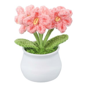 PATIKIL NVF 1 ҂ݕNVFԖYȑAԒaԃMtgz[fR[V Of[VsN