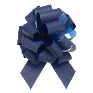 10���� 10"�̃s�J�s�J�~�j�X�^�[�M�t�g���{�� �����ȋP���N���X�}�X���{�� �M�t�g� �a���� �������p ���Ȑڒ��� �_�[�N�u���[