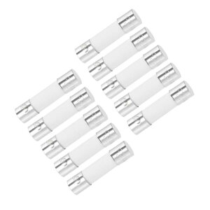 ԗpJ[gbWq[Y 30A 250V 5x20mm Z~bN u[ 10