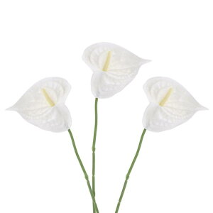 PATIKIL 33 cm lHIȃAXEt[ 3 p[}lgt[ t[AWg ԑ Ƃ̑ uC_  tFXeBop[eB[p x[W