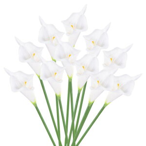 PATIKIL 33 cm lHIȃJt[ 10Xe U p[}lgt[ t[AWg ԑ Ƃ̑ ̃e[uZ^[s[Xp zCg