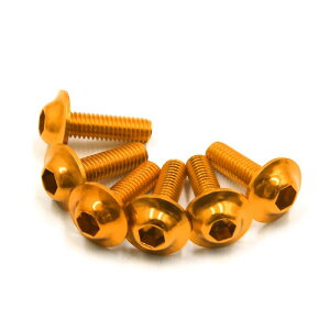 I[goC{gXN[ M6 x 20mm S[ h g[ Zp` CZX v[g {g XN[ I[goC J[p 6