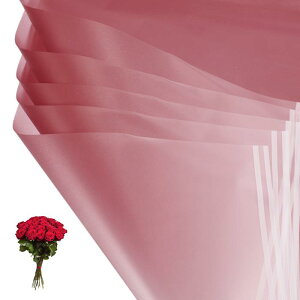 PATIKIL ԃMtg 20hu[Pt[XgpipbP[WOt[y[p[EFfBODIYNtgo^C̓ sN