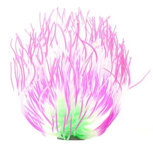 VOCOSTE ANAEV~[VTS t[ VR[ uTS O[I[ig ̕i [Ybh