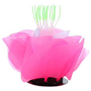 VOCOSTE ANAEV~[VTS VR[ uTS O[I[ig ̕i F