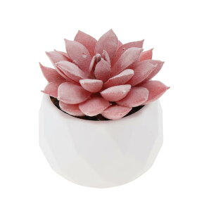 CAPASTEC tFCNO[ CeAO[ A lH bsv  ~j A fR[V 킢  fXN oX[ Lb` Type 6