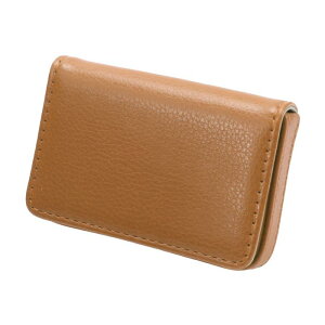 CAPASTEC h Y hP[X e J[hP[X oȒP  Vv AEj Mtg jp 1 ǐF