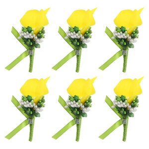 PATIKIL YpJ[E[Eu[gjAA6ZbgA̐VYVwu[gjAERT[WAALOAp[eB[Avp̃stACG[