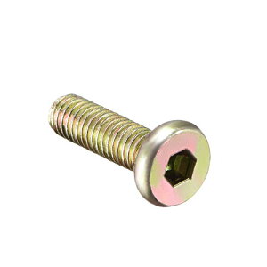 Ƌ{g M6x20mmibg Zp\PbghCo[ EhwbhlW 񃁃bL 30