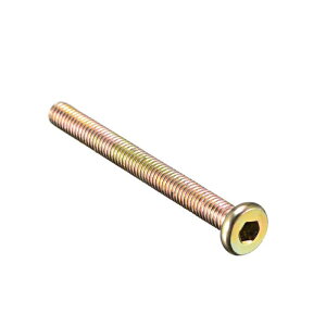 Ƌ{g M6x60mmibg Zp\PbghCo[ EhwbhlW 񃁃bL 20