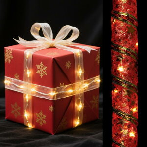 LEDCg{ 3.28tB[g10obe[쓮NX}Xc[fR[VXgO p[eB[EFfBONX}Xc[pi gj