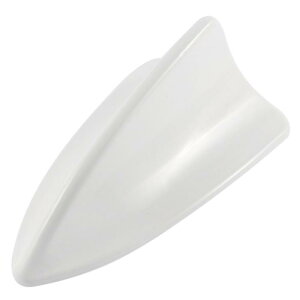 Ԃ̑pAei V[NAei BMWp zCg vX`bN