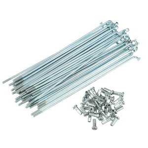 X AUTOHAUX 36{ 14G Jxh]ԃX`[X|[N 113 mm 4.45" TCNX|[N ^Jjbvt X`[X|[N }EeoCN MTBp