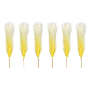 PATIKIL 17" tFCNppXOX 6 {w ~Ai EFfBOt[p[eB[ԕrAWgZ^[s[Xp lHIȔw tt Xe Of[VCG[