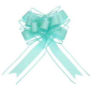 ����v���{�E �M�t�g� �r�b�O�I�[�K���U���{�� ������ �o�X�P�b�g �v���[���g �N���X�}�X�p�[�e�B�[�p 10�� 22 cm �A�N�A�}�����u���[