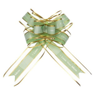 ����v���{�E �����Ă� �M�t�g����{�� ���{���I�[�K���W�[ ������ �o�X�P�b�g �v���[���g �N���X�}�X�p�[�e�B�[�p 10�� 22 cm ��