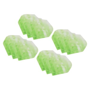 PATIKIL _[ctCg 12 PET W_[cANZT[i \tg`bv X`[`bvp 􉽊wIȃX^C O[ zCg