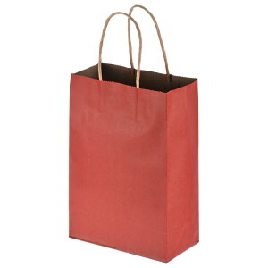 PATIKIL 15 x 8 x 21cm MtgbvobO t[u[PpbP[WobO y[p[MtgobO u[PbvobO nht 100 u C_p[eB[ܗp bh