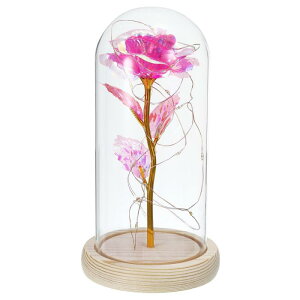 PATIKIL KXh[̃ỏ t[MtgfBXvC LEDtFA[Cgt Z^[s[X NX}X EFfBOp sN