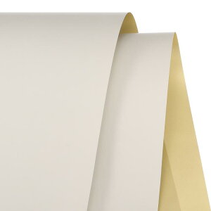 �ԕ�� �h���t���[�������b�v ���F���� �M�t�g�p�b�P�[�W 22.8 x 22.8�C���` DIY�N���t�g �u�[�P�p�b�P�[�W 20������