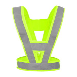 CAPASTEC SxXg ˃xXg V^  ̖h~ S`bL ƕ H x ʈS y ˍ F jp nCCg