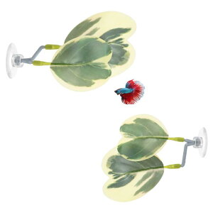 M METERXITY x^p[tpbh 2pbN nbNAp[tpbh Aȋ xxbh /ANZT[/ɐBp [΂ƃzCg uhE t `]