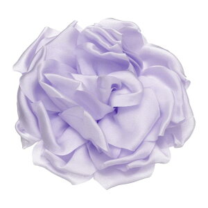 [Yt[u[`ƃsA4.3C`̃t[y sApEFfBOp[eB[_XhXX[cߗރANZT[΃MtgiX^C1 j