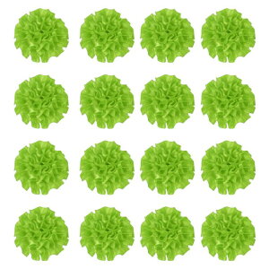 16̃{sIj[A2C`̃Yy sATe{t[sIj[AlHt@ ubNt[ADIYNtgANZT[ADMtgpACg