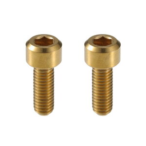 ACROPIX M5x14mm �S�[ ���h�g�[�� ���j�o�[�T�����]�ԃo�C�N�X�e���V�[�g�|�X�g�N�����v�f�B���C���[�O���b �v�{���g�X�N�����[ - 2����