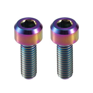 ACROPIX M5x14mm �F�t�� ���j�o�[�T�����]�ԃX�e�� �V�[�g�|�X�g�N�����v �f�B���C���[�O���b �v �{���g �X�N�����[ - 2����