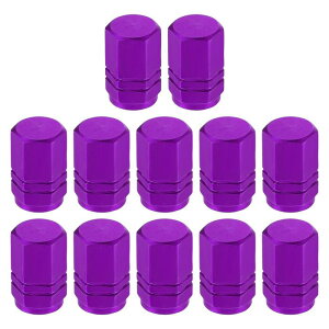 Motoforti ԗ SUV oCN gbN I[goCp̃jo[T^CouLbv 16mm A~ p[v 12Zbg